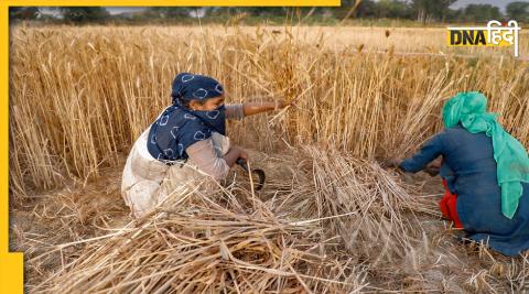 Farmers