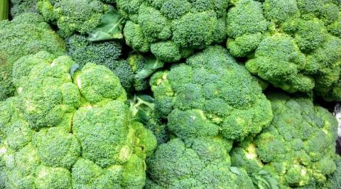 ब्रोकोली ( Broccoli ) से मिलेगा फायदा