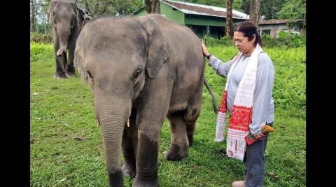 प्रकृति के करीब वेकेशन मना रही हैं मीनाक्षी लेखी