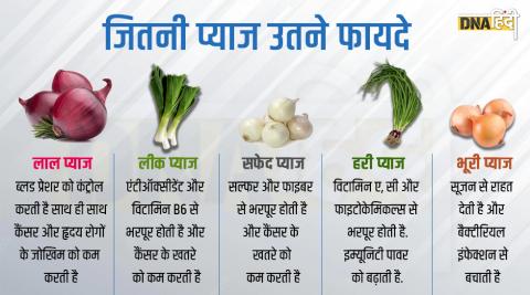 कितने तरह की होती है प्याज ?