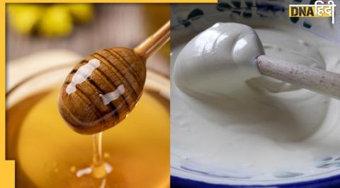 दही और शहद खाने के फायदे, दही और शहद के फायदे, yogurt and honey ayurveda, what is benefits of curd and honey, is it good to eat curd everyday, honey benefits weight loss, honey benefits sexually, honey benefits in hindi, honey benefits for men, honey bene