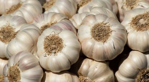 Garlic का करें खाने में इस्तेमाल