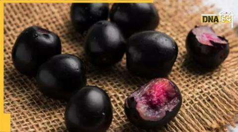 Jamun Seeds