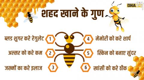 इंसानों के लिए अमृत है शहद (Honey) 