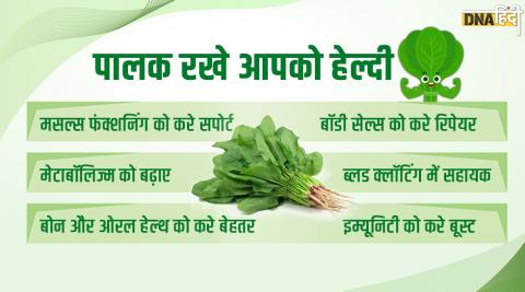 पालक (Spinach) रखे आपको सेहतमंद