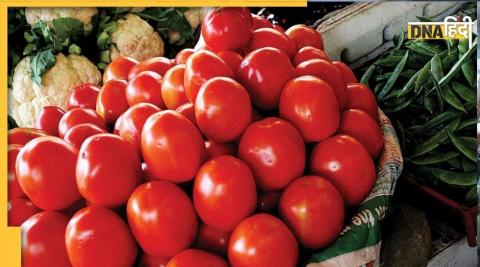 Tomato Price Hike: There has been a tremendous jump in tomato prices, farmers are benefiting