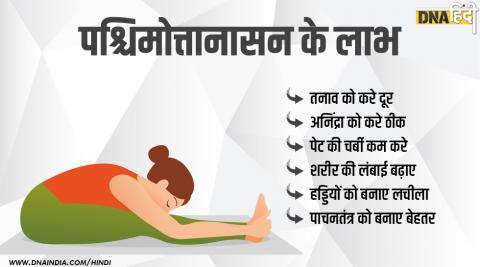 पश्चिमोत्तानासन (Paschimottanasana / Seated Forward Bend)