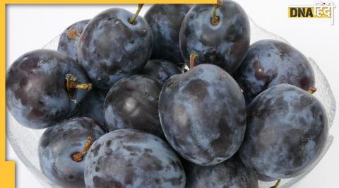 Black plum, Health, health benefits, jamun, jamun benefits, summer tips, summer health tips, jamun health benefit, jamun benefit in hindi, जामुन, जामुन का फायदा