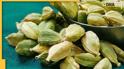 benefits of elaichi, elaichi benefits in hindi, candamom benefits, cardamom, elaichi banana benfits, elaichi banana, benefits of eating elaichi, elaichi in english, elaichi benefits for male, elaichi powder