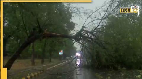 दिल्ली-एनसीआर में झमाझम बारिश, कई जगह टूटे पेड़. (तस्वीर-ANI)