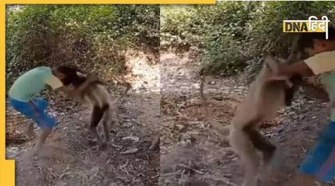 Kid Monkey fight