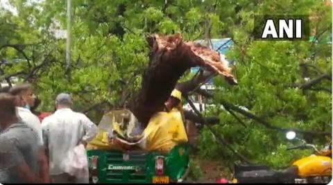 बारिश के बाद गिरा तापमान