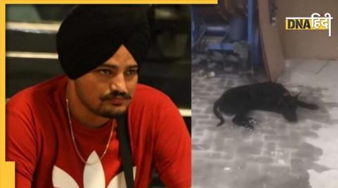 Sidhu Moosewala 