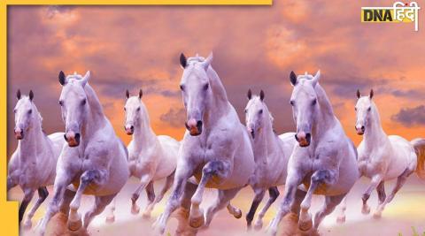 vastu shastra tips caution horses painting direction