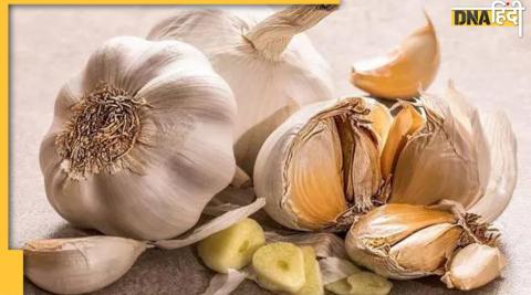 garlic benefits