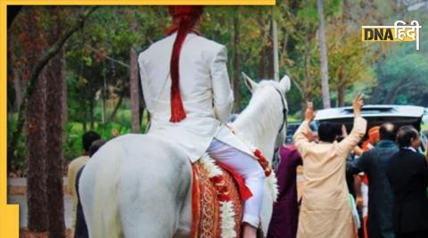 प्रतीकात्मक तस्वीर Symbolic image