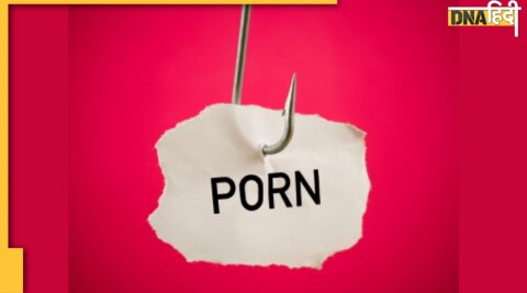 pornography, pornography laws in India, what is porn