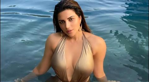 Shama Sikander Bollywood Career