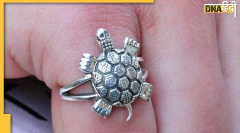 turtle ring, turtle ring benefits, turtle ring silver benefits, turtle ring for men, turtle ring benefits for men, turtle ring for ladies, turtle ring for benefits for ladies, turtle ring wear in which finger