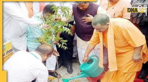 उत्तर प्रदेश में आज पौधरोपण का रिकॉर्ड बनेगा. up will make a record of planting 25 crore trees in uttar pradesh