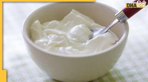 Curd benefits