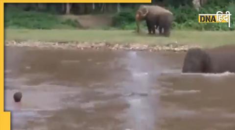 Baby elephant saved life of man