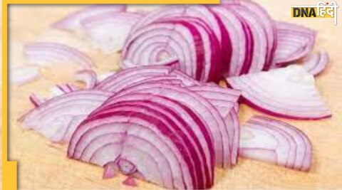 Onion 