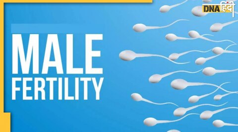 mens infertility mens infertility