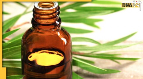 tea tree oil