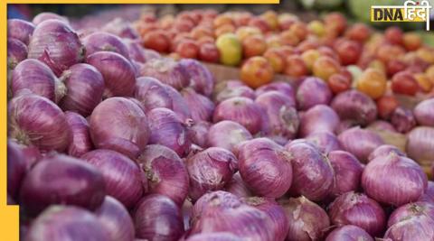 Tomato Onion Price