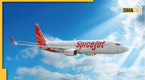 SpiceJet Domestic Flight