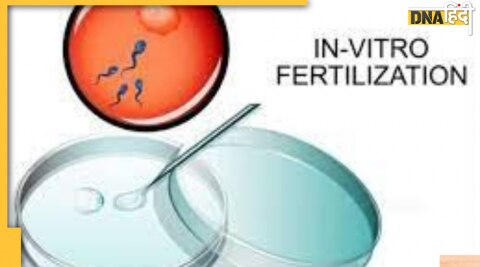 IVF