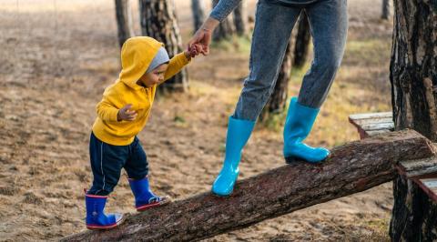 इन पौधों से रखें दूर (Parenting Tips for Playground)