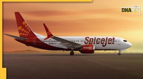 SpiceJet Domestic Flight