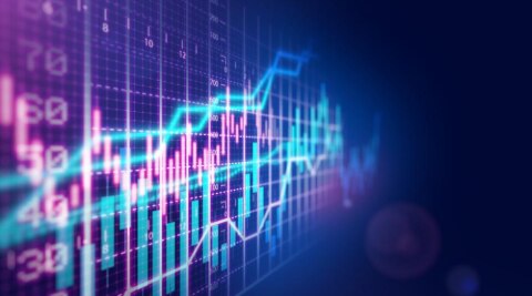 Balkrishna Industries Ltd