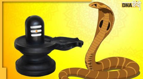 Nag panchami 2022, Nag Panchami 2022, Nag Panchami 2022 date and time, Nag Panchami 2022 kab hai, when is Nag Panchami 2022, नाग पंचमी 2022, नाग पंचमी 2022, नाग पंचमी 2022 तारीख और समय, नाग पंचमी 2022 कब है, नाग पंचमी 2022 कब है