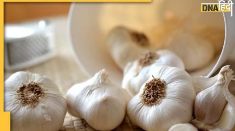 garlic side effects