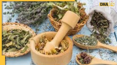 herbal leaves benefits for skin wound 