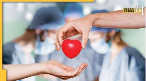 World Organ Donation Day