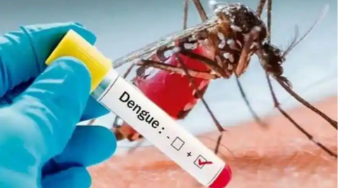 Dengue fever is 