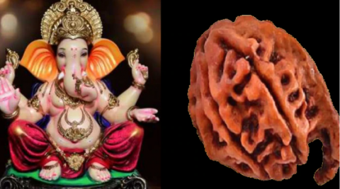 Ganesh rudraksha