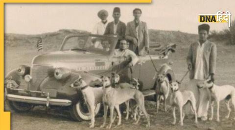 Nawab of Junagarh Dogs