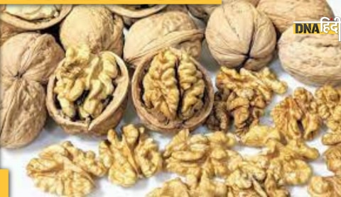 walnut health benefits control uric acid