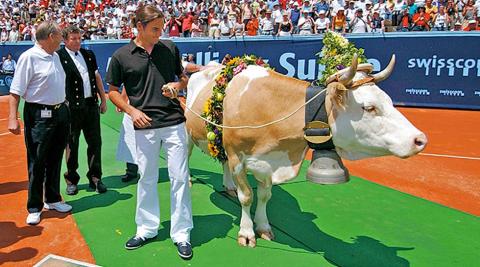 Roger Federer his love for cows