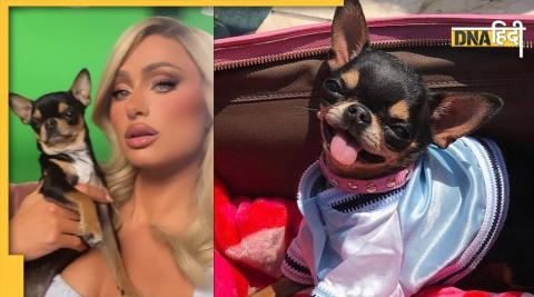 Paris Hilton Dog Dimond Baby: पेरिस हिल्टन का डॉगी डायमंड बेबी