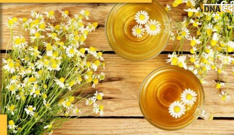 chamomile tea benefits