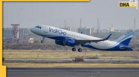 indigo airline