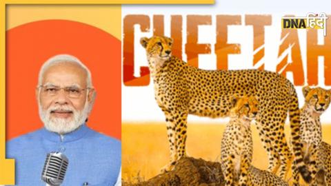 Man ki Baat pm modi given cheetah name suggest task to see cheetah first