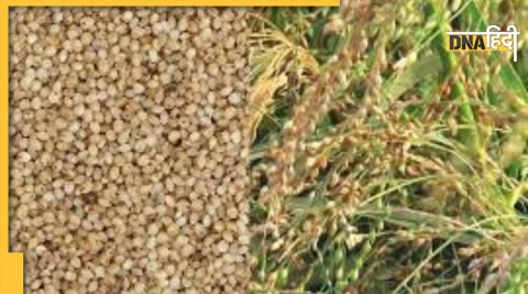 millets health benefits 