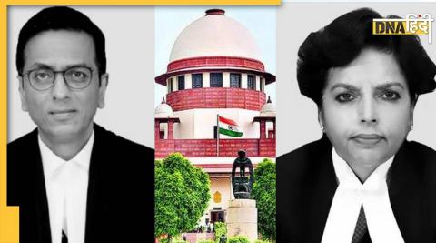 Supreme Court Of India Bench